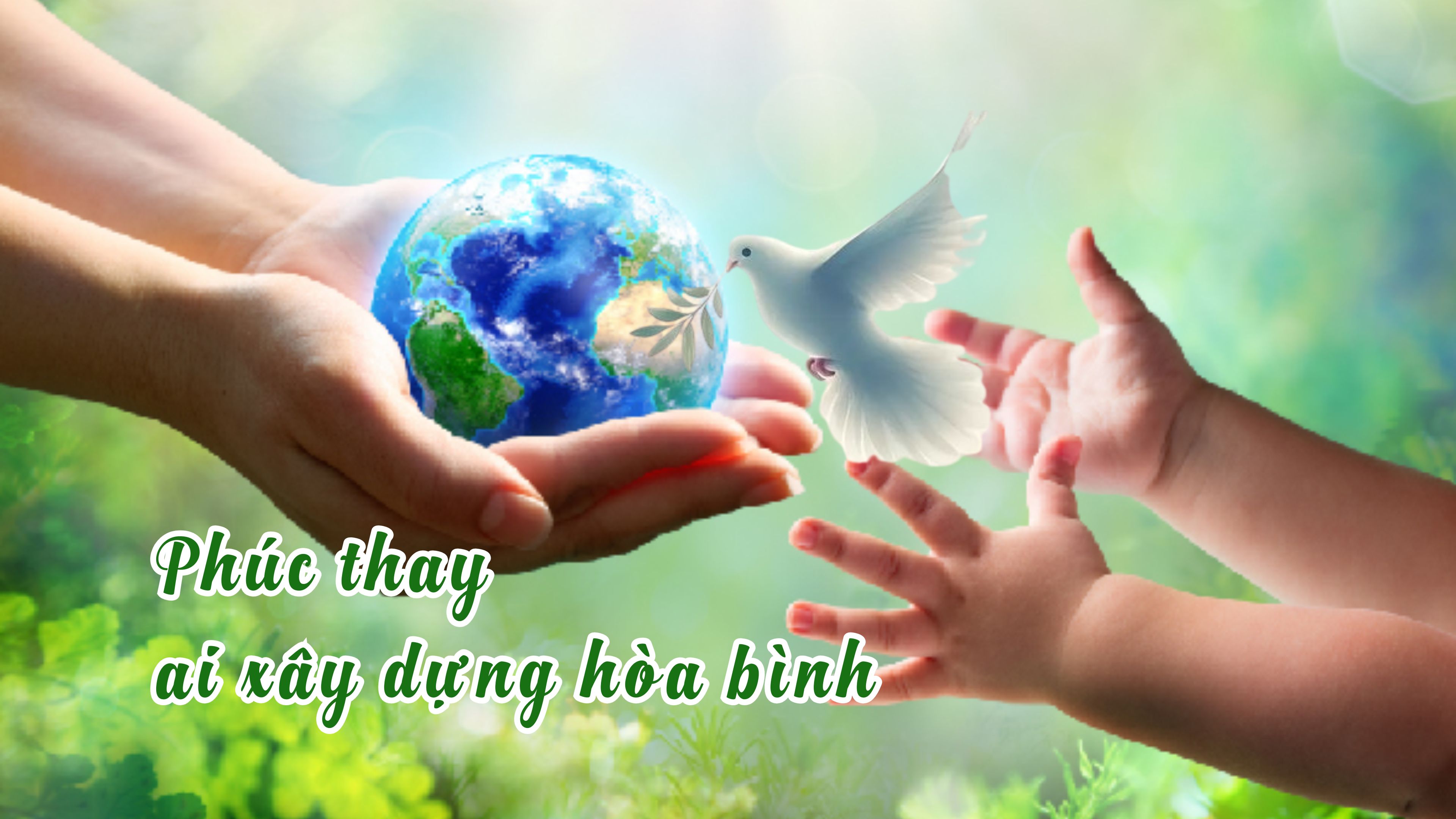 Tuần phòng FVN: Cầu nguyện với thiên nhiên trên con đường tám mối phúc