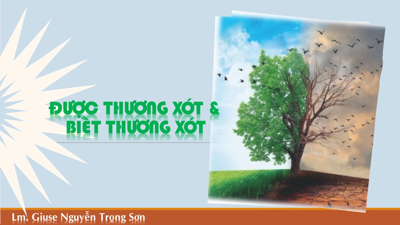 Được thương xót và biết thương xót - Chúa Nhật II Phục Sinh. Kính Lòng Chúa thương xót