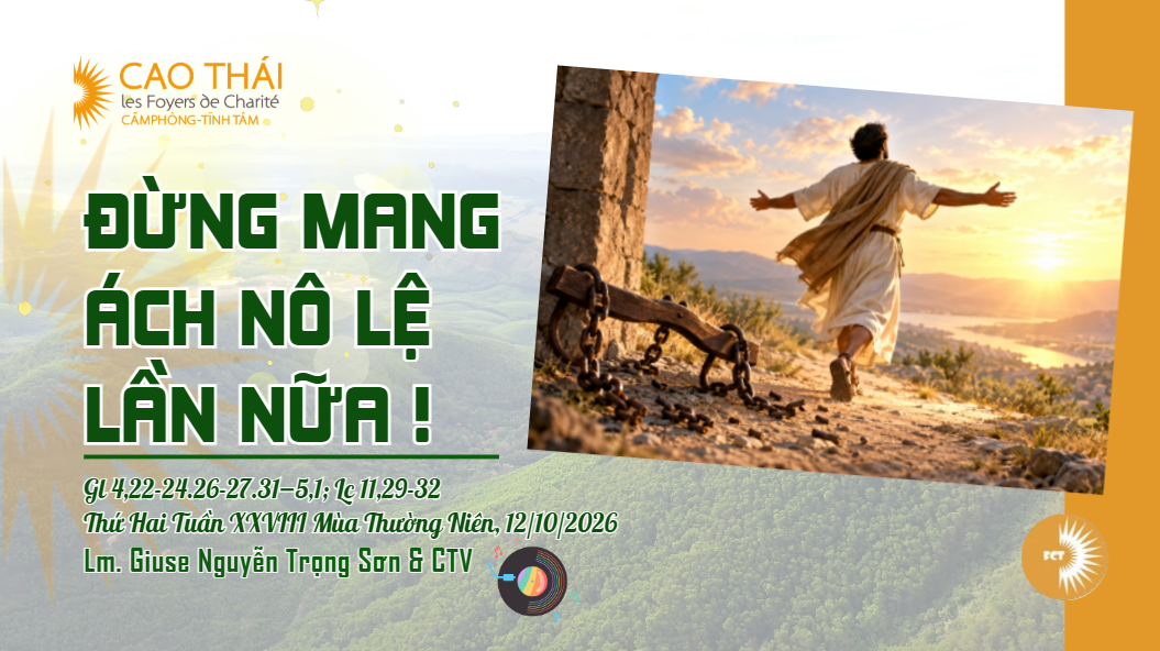 Đừng mang ách nô lệ lần nữa ! Thứ Hai Tuần XXVIII Mùa Thường Niên