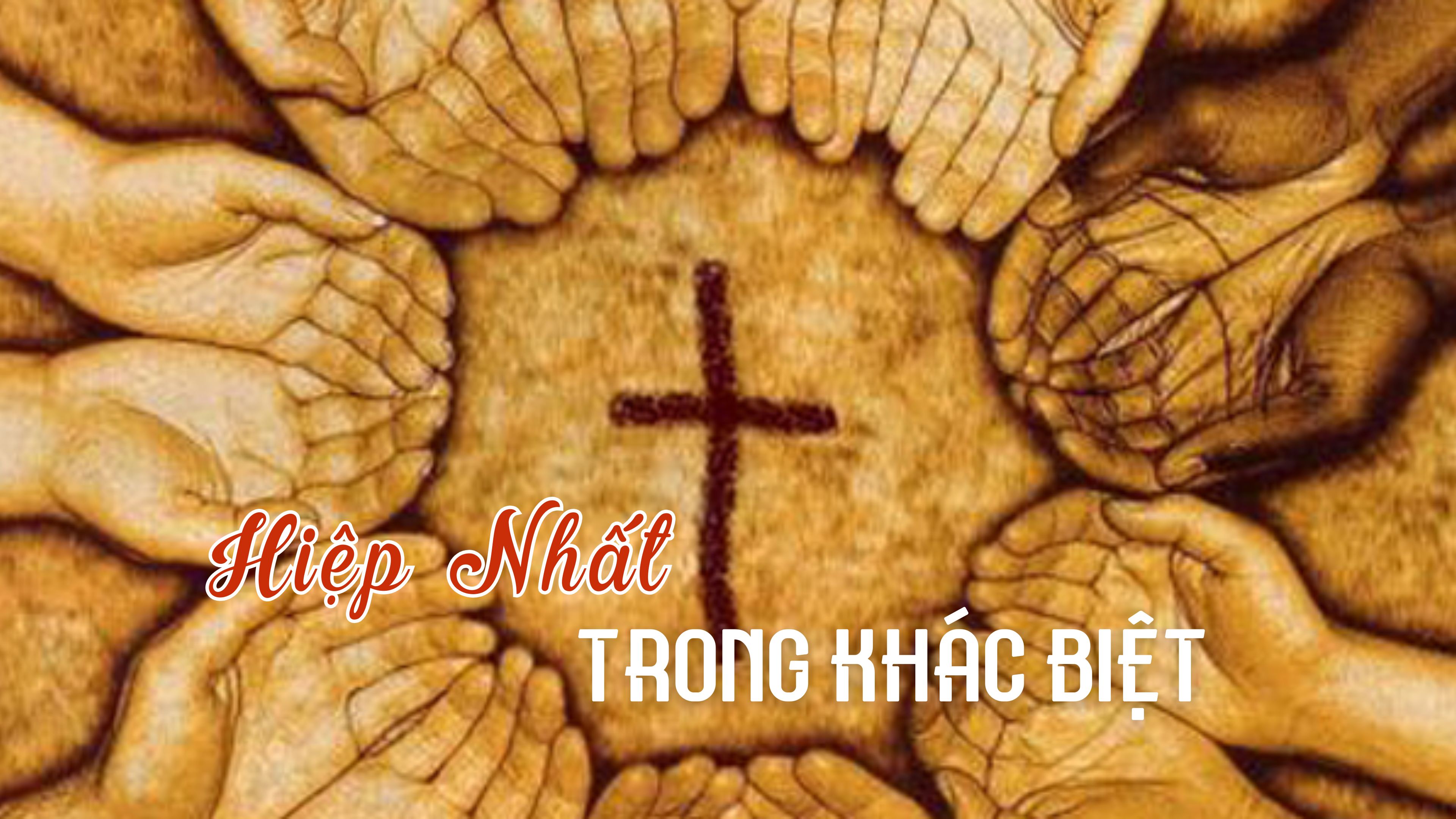 Hiệp nhất trong khác biệt