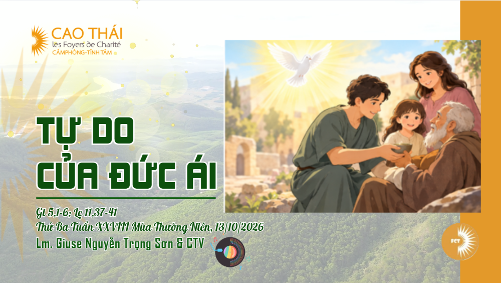 Tự do của đức ái -  Thứ Ba Tuần XXVIII Mùa Thường Niên