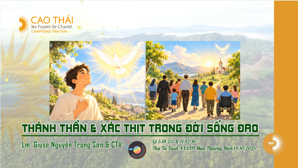 Thánh Thần và xác thịt trong đời sống đạo - Thứ Tư Tuần XXVIII Mùa Thường Niên