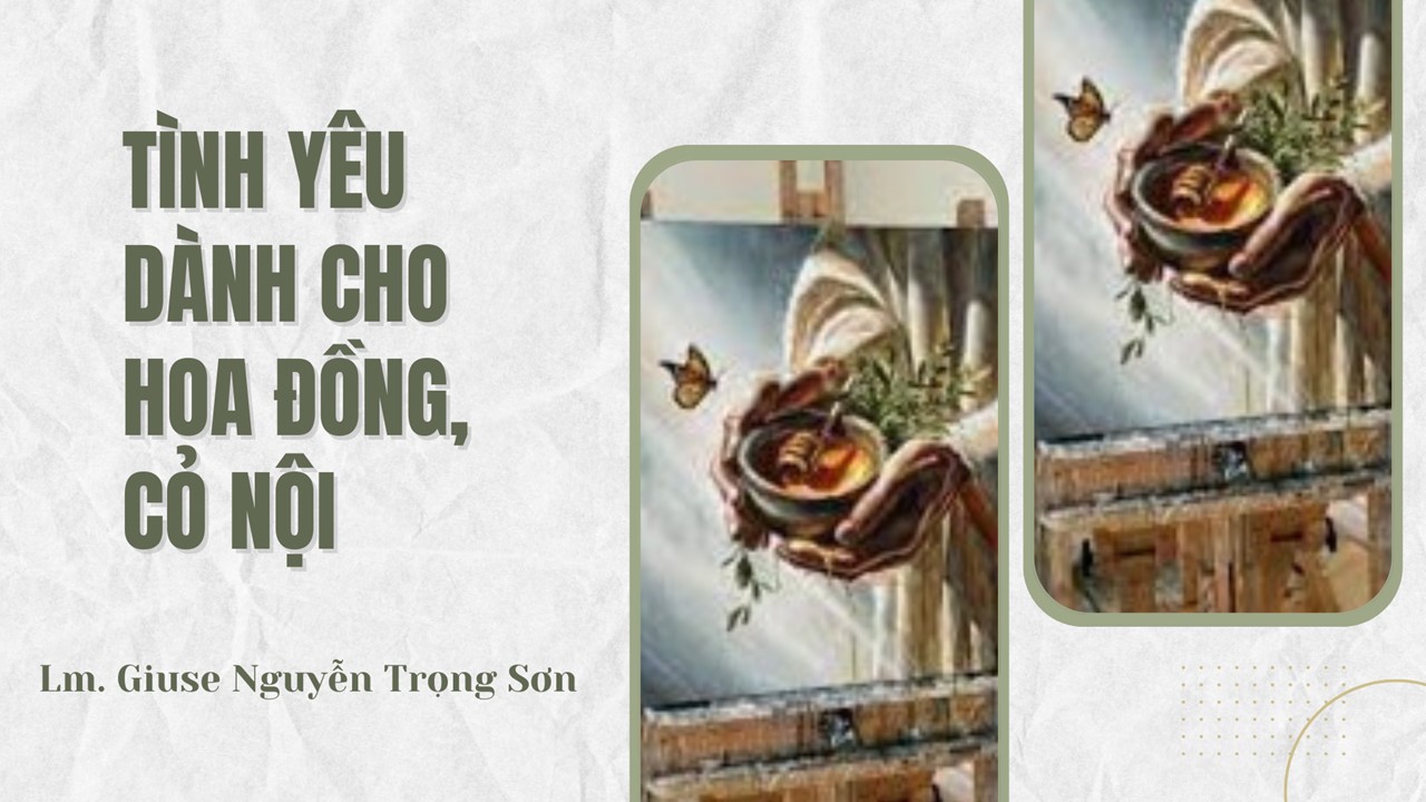 Tình yêu dành cho hoa đồng, cỏ nội - Thứ Ba Tuần II - Mùa Vọng