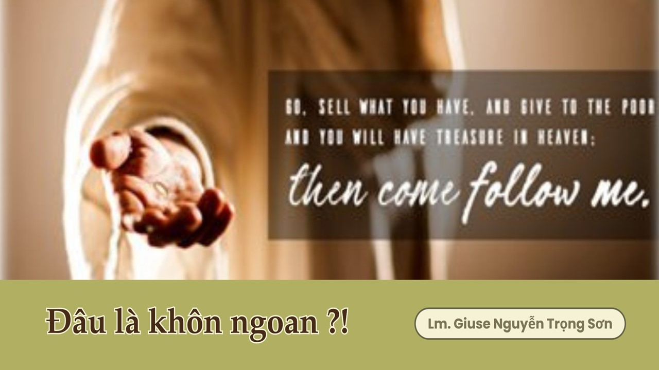 Đâu là khôn ngoan ?! - Chúa Nhật Tuần XXVIII - Mùa Thường Niên B