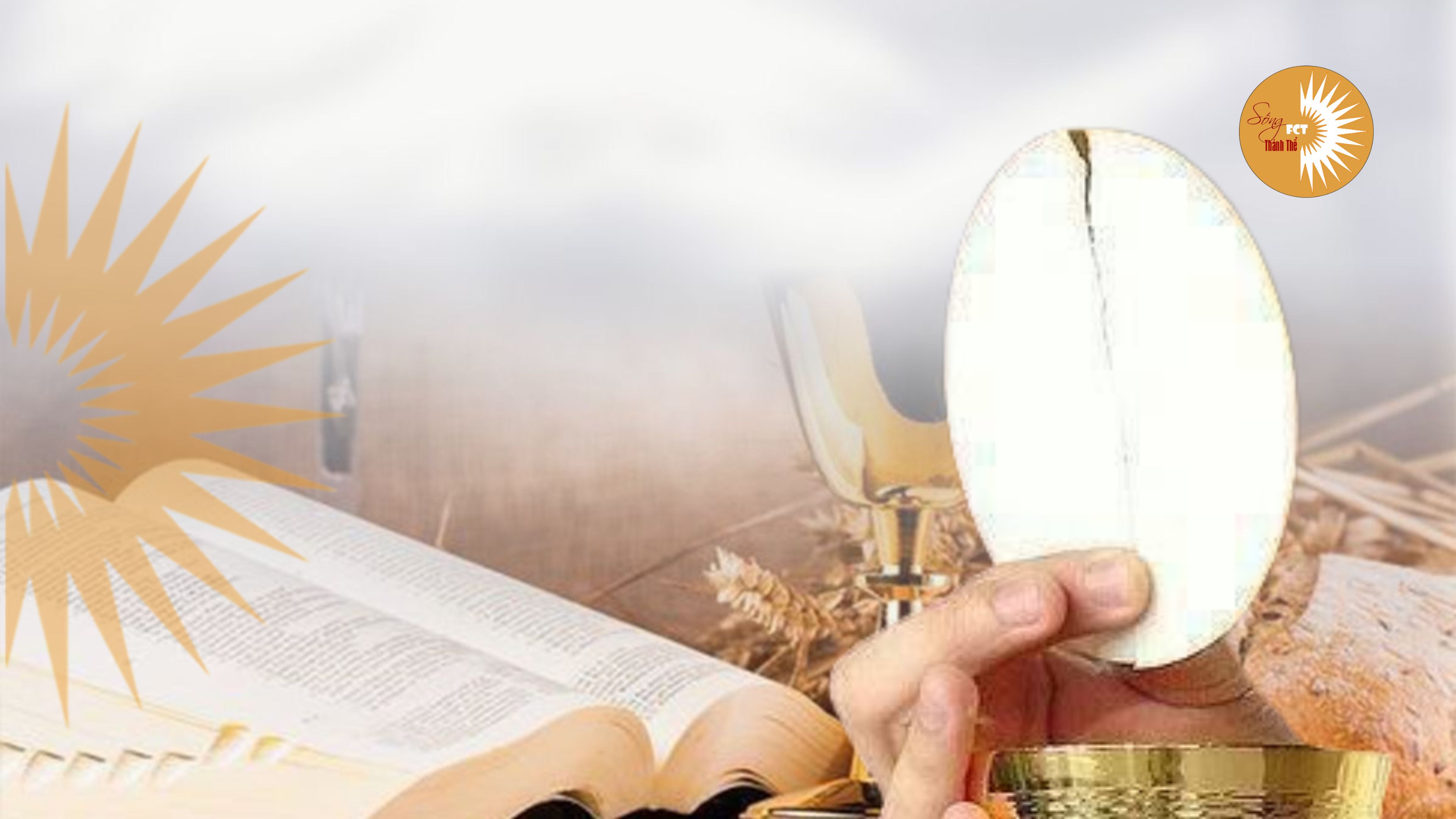 Thánh Thể: Trở Nên “Huyết Nhục” Với Đấng Mang Thương Tích Vì Yêu - Lm. Giuse Nguyễn Trọng Sơn - Thứ Bảy tuần XXVII - Thường niên