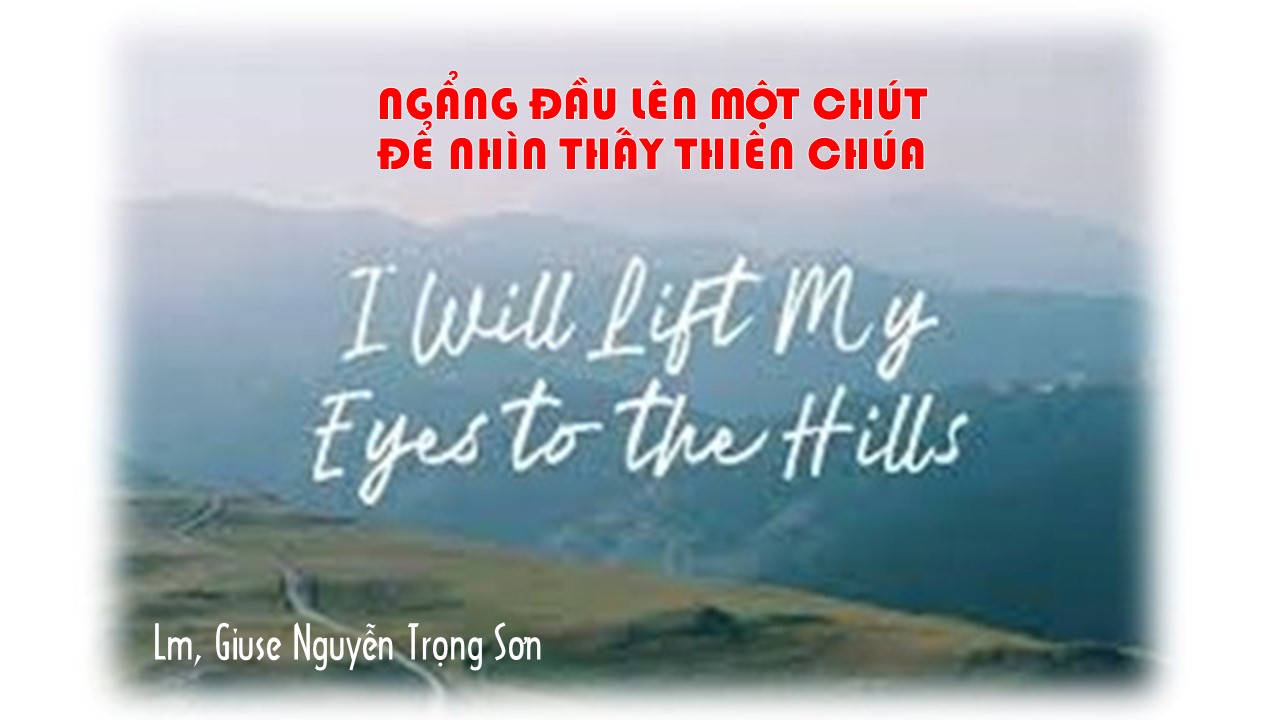 Ngẩng đầu lên một chút để nhìn thấy Thiên Chúa - Thứ Ba Tuần VI - Mùa Thường Niên