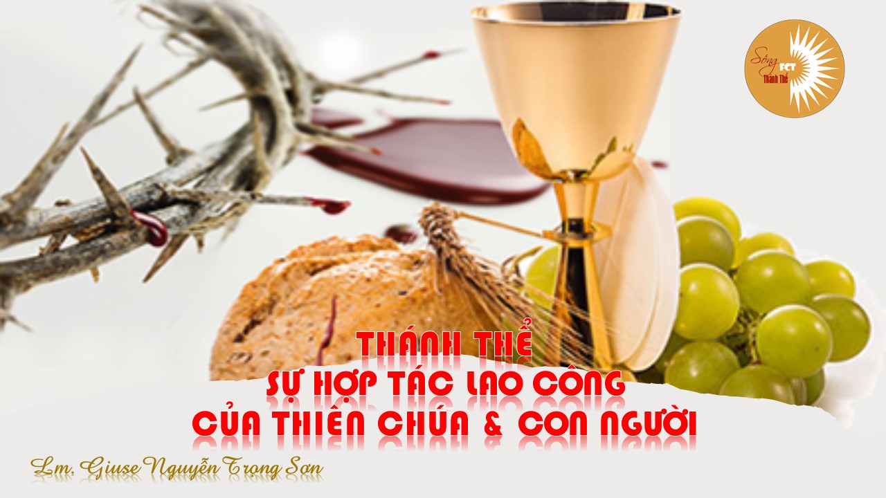 Thánh Thể: sự hợp tác lao công của Thiên Chúa & con người - Lm. Giuse Nguyễn Trọng Sơn