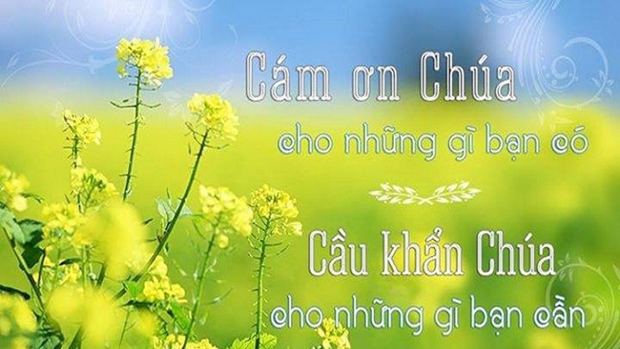 Cảm nhận Tĩnh Tâm Cuối Tuần từ 10.11.2023 - 12.11.2023