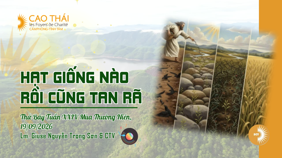 Hạt giống nào rồi cũng tan rã - Thứ Bảy Tuần XXIV Mùa Thường Niên