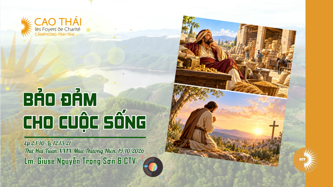 Bảo đảm cho cuộc sống - Thứ Hai Tuần XXIX Mùa Thường Niên