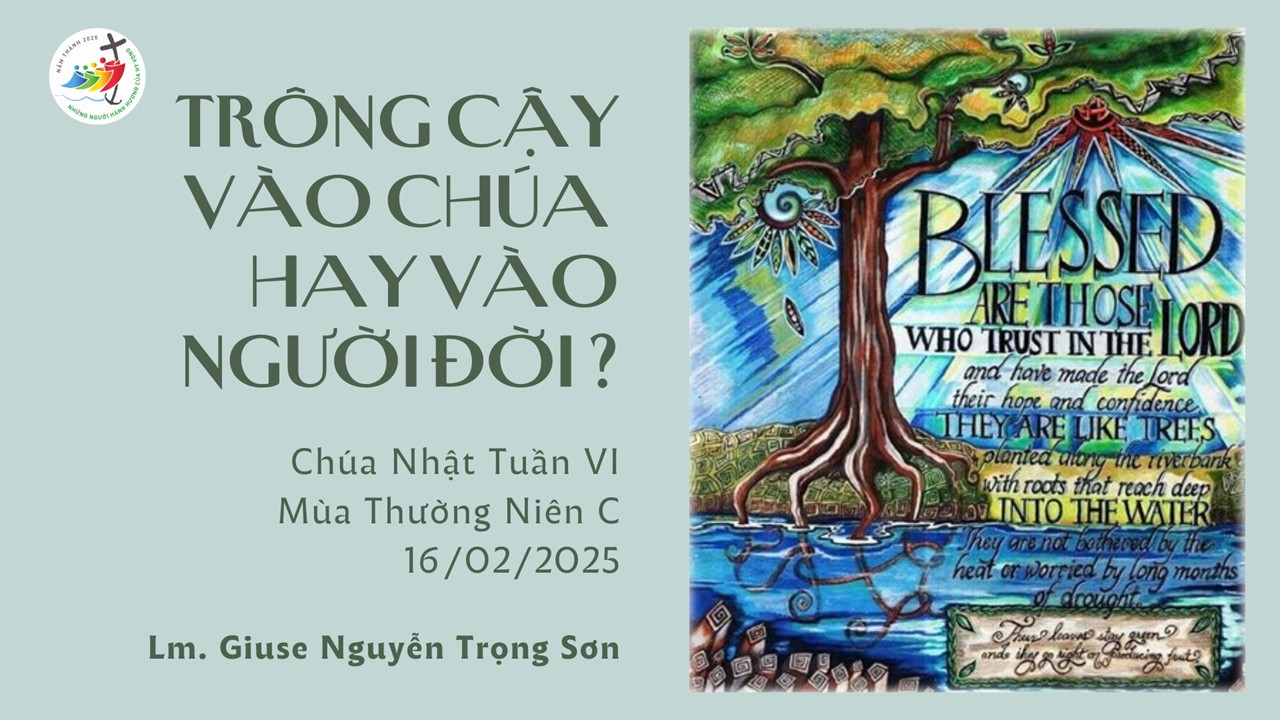 Trông cậy vào Chúa hay vào người đời ? Chúa Nhật Tuần VI - Mùa Thường Niên C