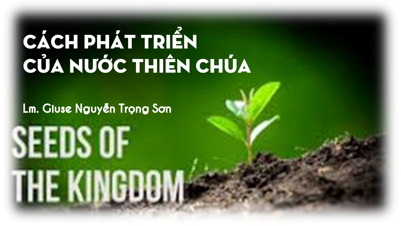 Cách phát triển của Nước Thiên Chúa - Chúa Nhật Tuần XI - Mùa Thường Niên B