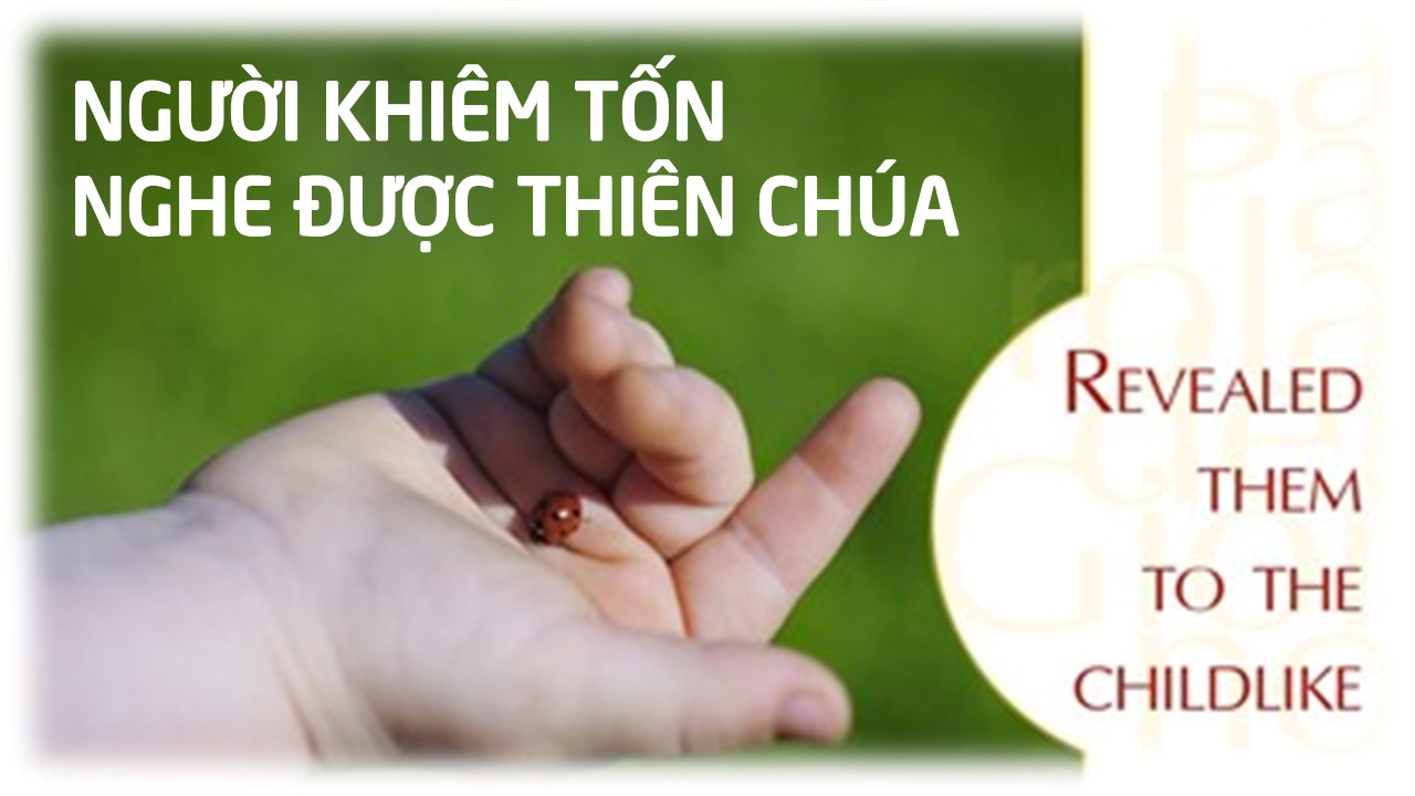 Người khiêm tốn nghe được Thiên Chúa - Thứ Tư Tuần XV - Mùa Thường Niên