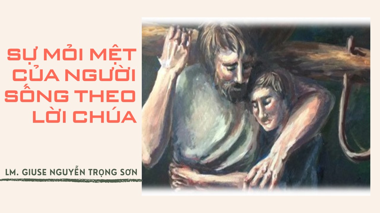 Sự mỏi mệt của người sống theo Lời Chúa - Thứ Năm Tuần XV - Mùa Thường Niên