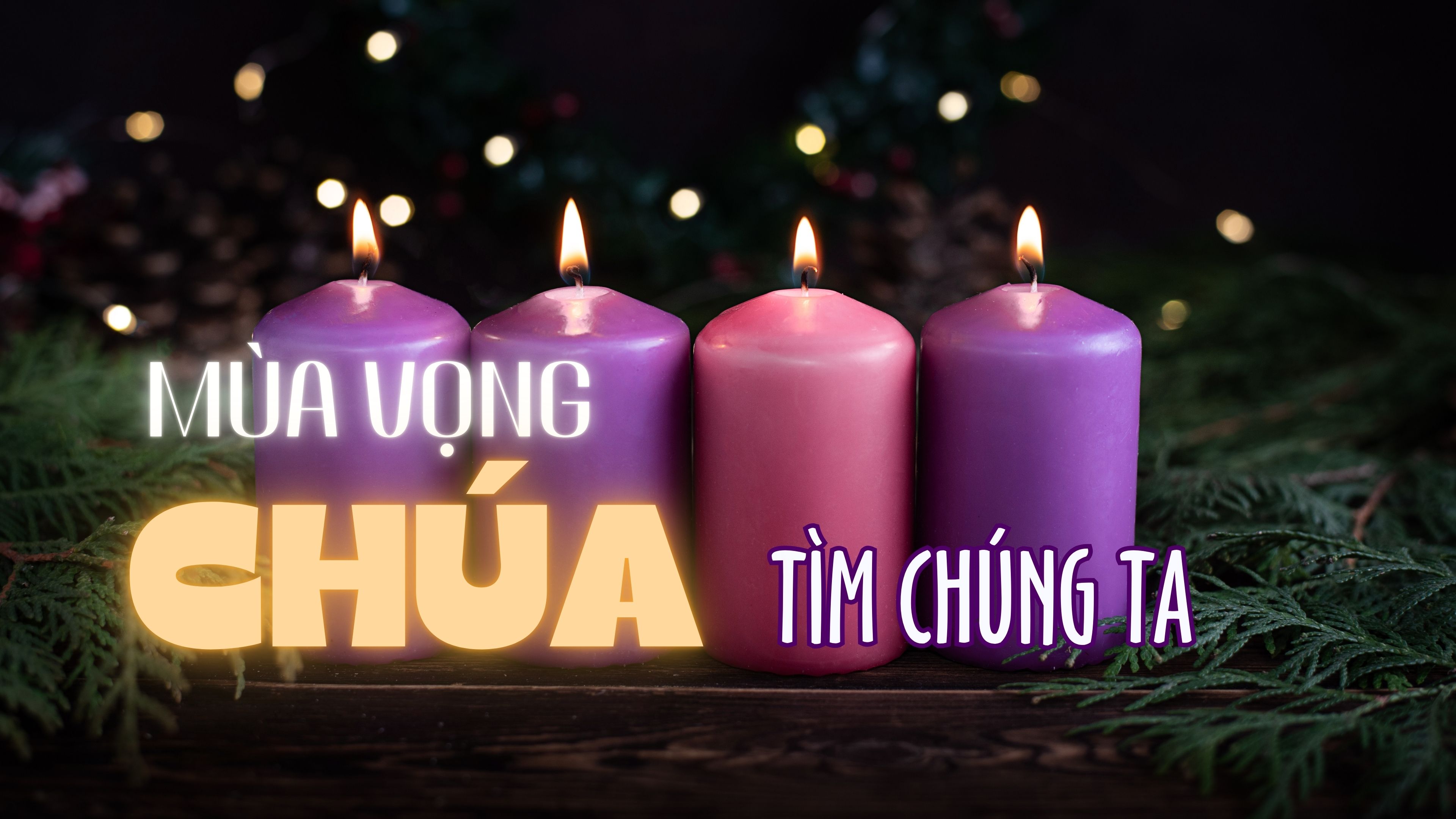 Cảm nhận TTCT: Mùa Vọng – Chúa Tìm Chúng Ta