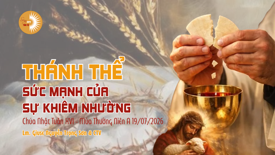 Thánh Thể: Sức mạnh của sự khiêm nhường - Chúa Nhật Tuần XVI - Mùa Thường Niên A 19/07/2026
