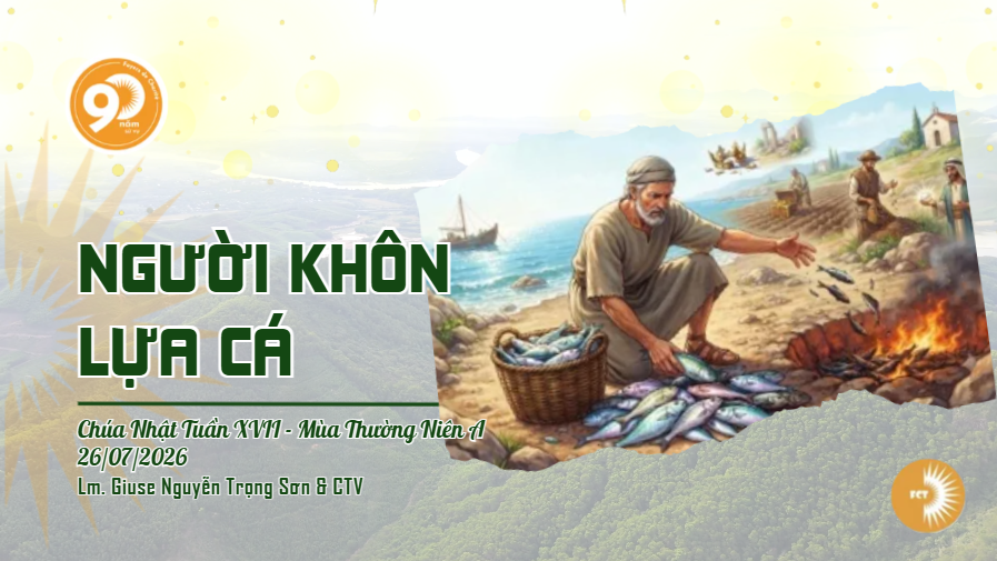 Người khôn lựa cá - Chúa Nhật Tuần XVII - Mùa Thường Niên A