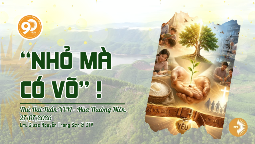 “Nhỏ mà có võ” ! Thứ Hai Tuần XVII - Mùa Thường Niên