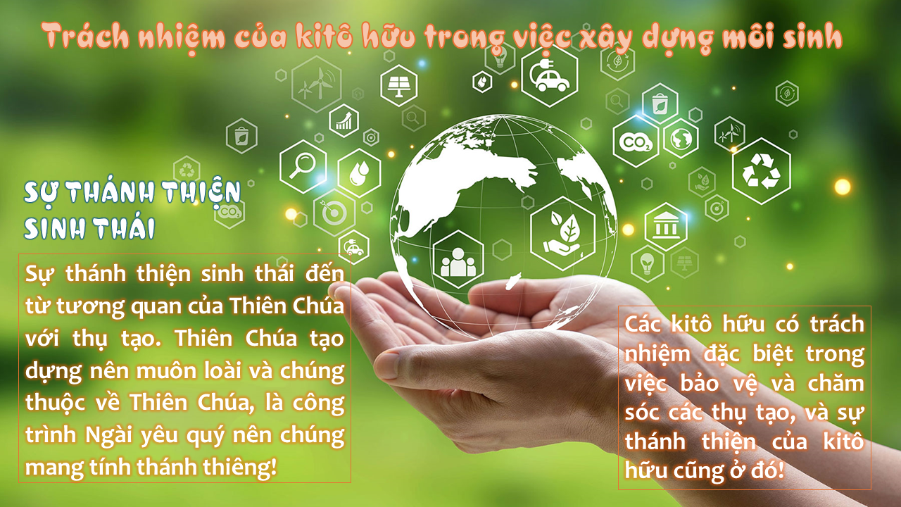 Cảm nhận Tĩnh Tâm Cuối Tuần, Từ 14.06.2024 - 16.06.2024