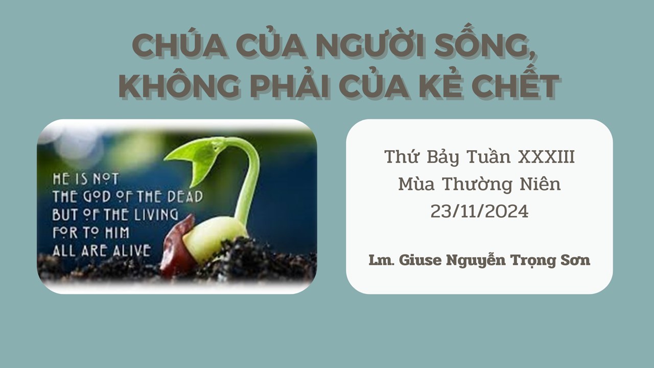 ​​​​​​​Chúa của người sống, không phải của kẻ chết - Thứ Bảy Tuần XXXIII - Mùa Thường Niên