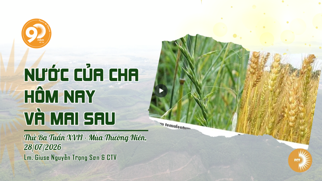 Nước của Cha hôm nay và mai sau - Thứ Ba Tuần XVII - Mùa Thường Niên