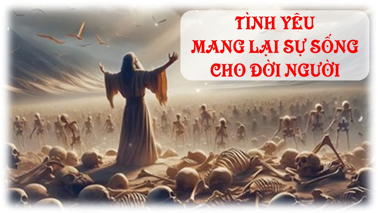 Tình yêu mang lại sự sống cho đời người - Thứ Sáu Tuần XX - Mùa Thường Niên