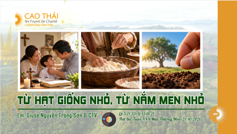 Từ hạt giống nhỏ, từ nắm men nhỏ - Thứ Ba · Tuần XXX · Mùa Thường Niên