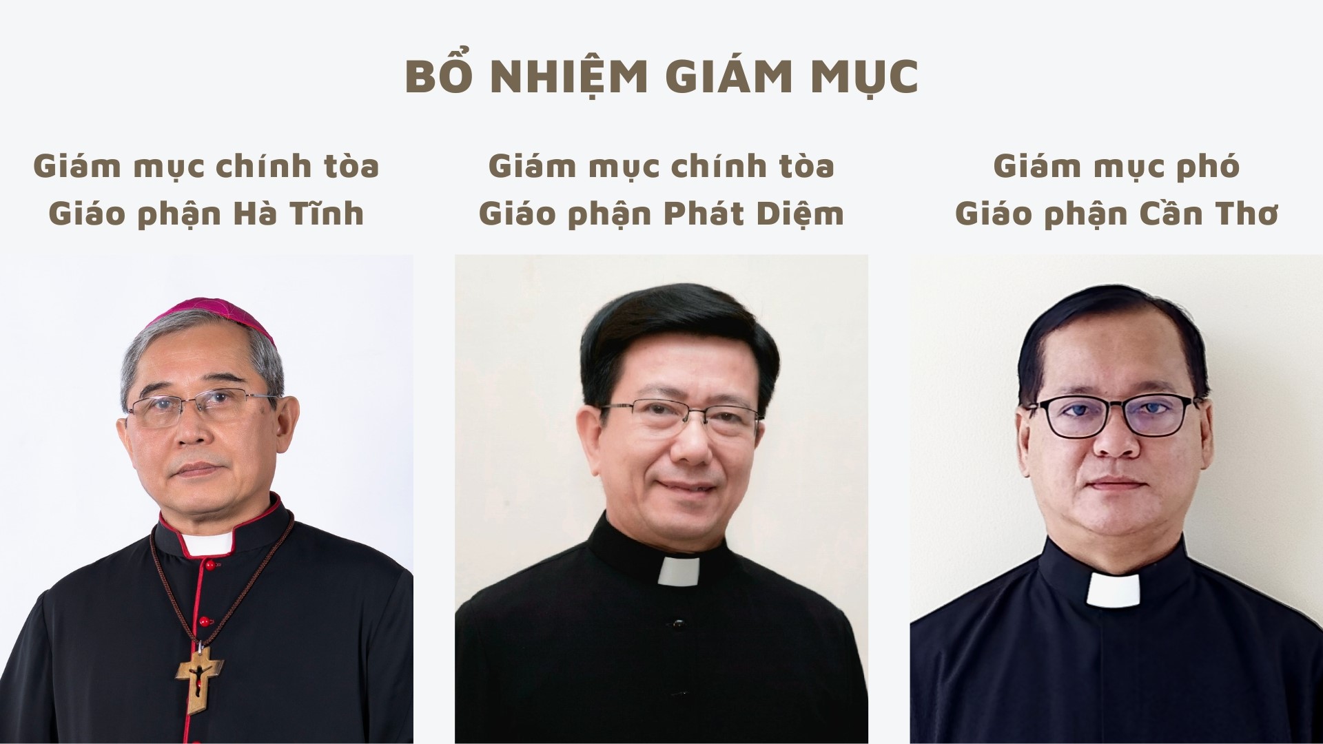 Bổ nhiệm Giám mục chính tòa các giáo phận Hà Tĩnh và Phát Diệm, Giám mục phó giáo phận Cần Thơ