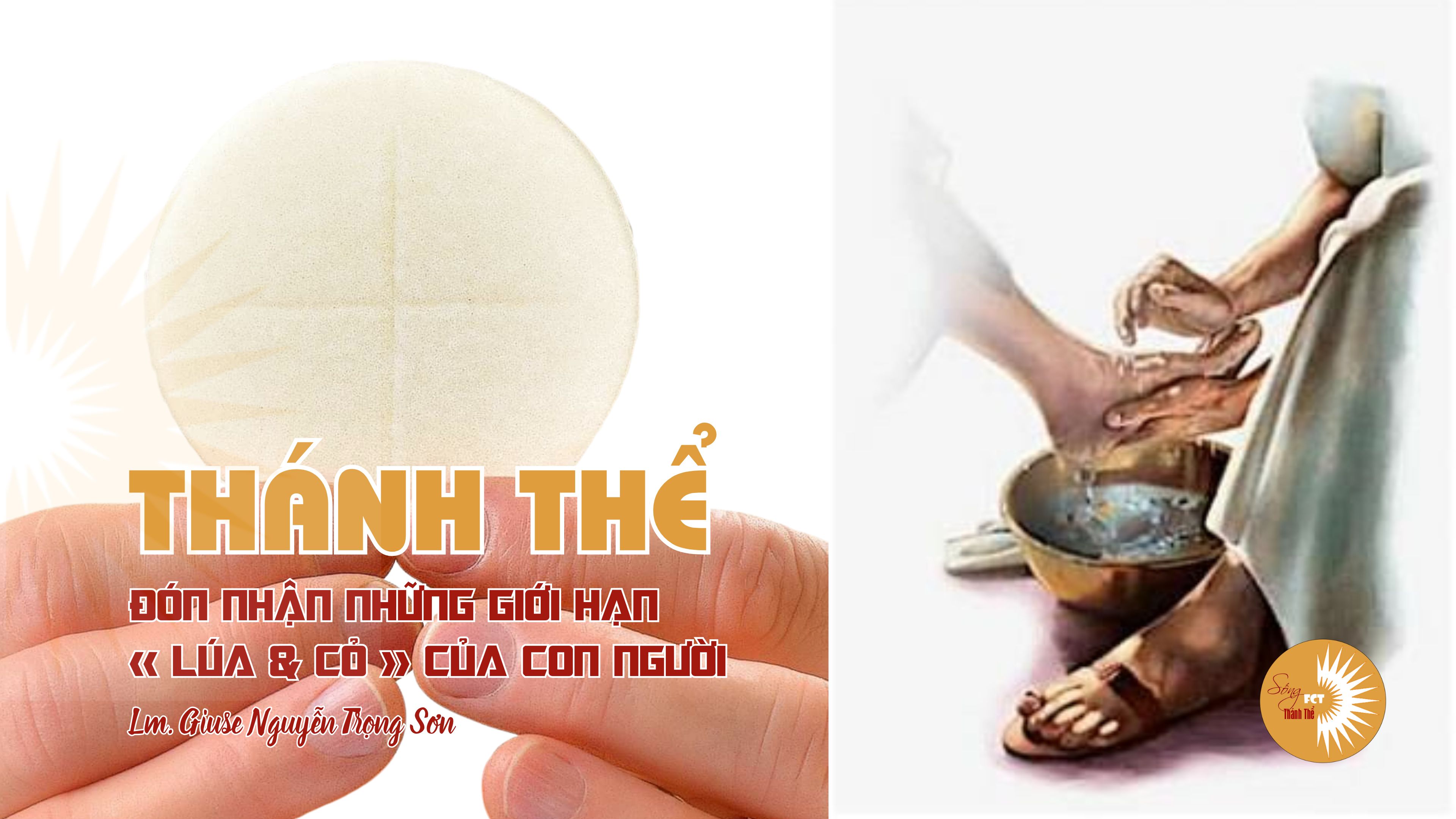 Thánh Thể: Đón nhận những giới hạn « lúa & cỏ » của con người - Lm. Giuse Nguyễn Trọng Sơn, Thứ Bảy, tuần XVI – Thường Niên