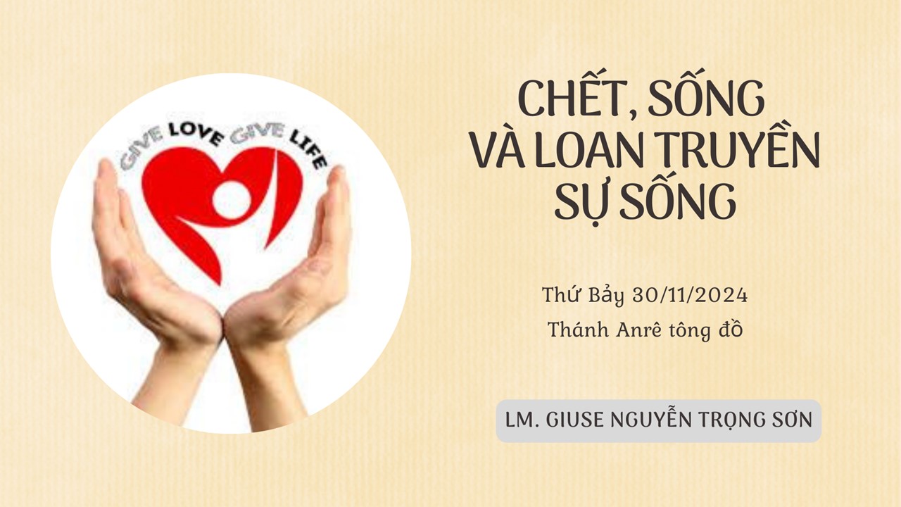 Chết, sống và loan truyền sự sống - Thứ Bảy, Thánh Anrê tông đồ