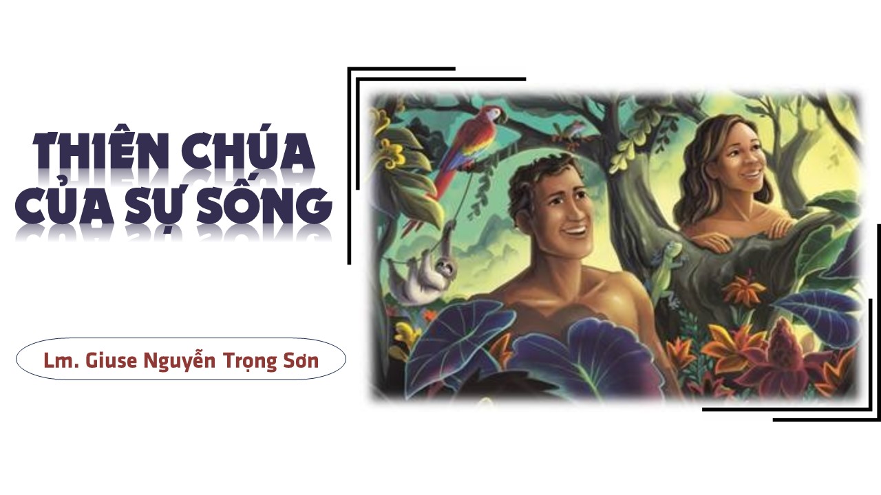 Thiên Chúa của sự sống - Chúa Nhật Tuần XIII - Mùa Thường Niên B