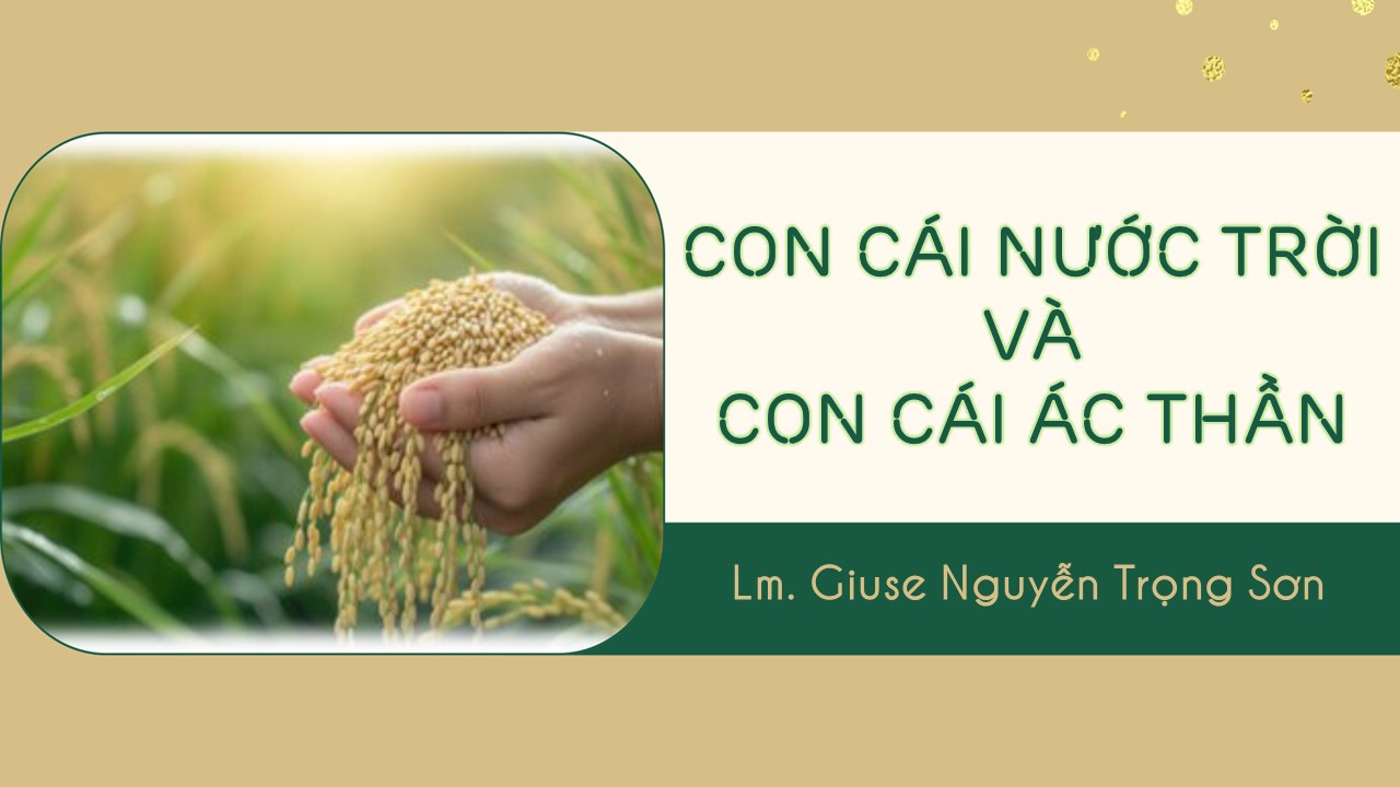 Con cái Nước Trời và con cái ác thần - Thứ Ba Tuần XVII - Mùa Thường Niên