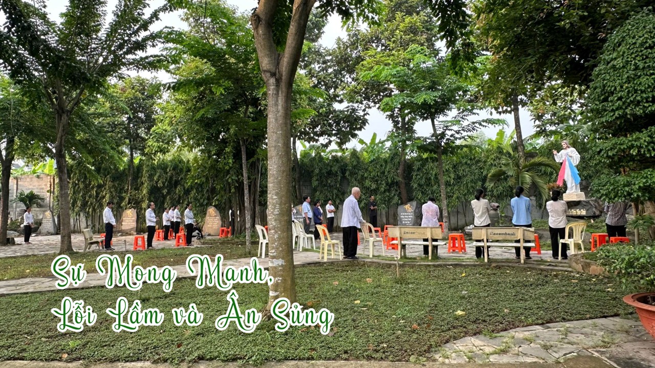 Tuần phòng FVN: Sự Mong manh, Lỗi lầm và Ân sủng