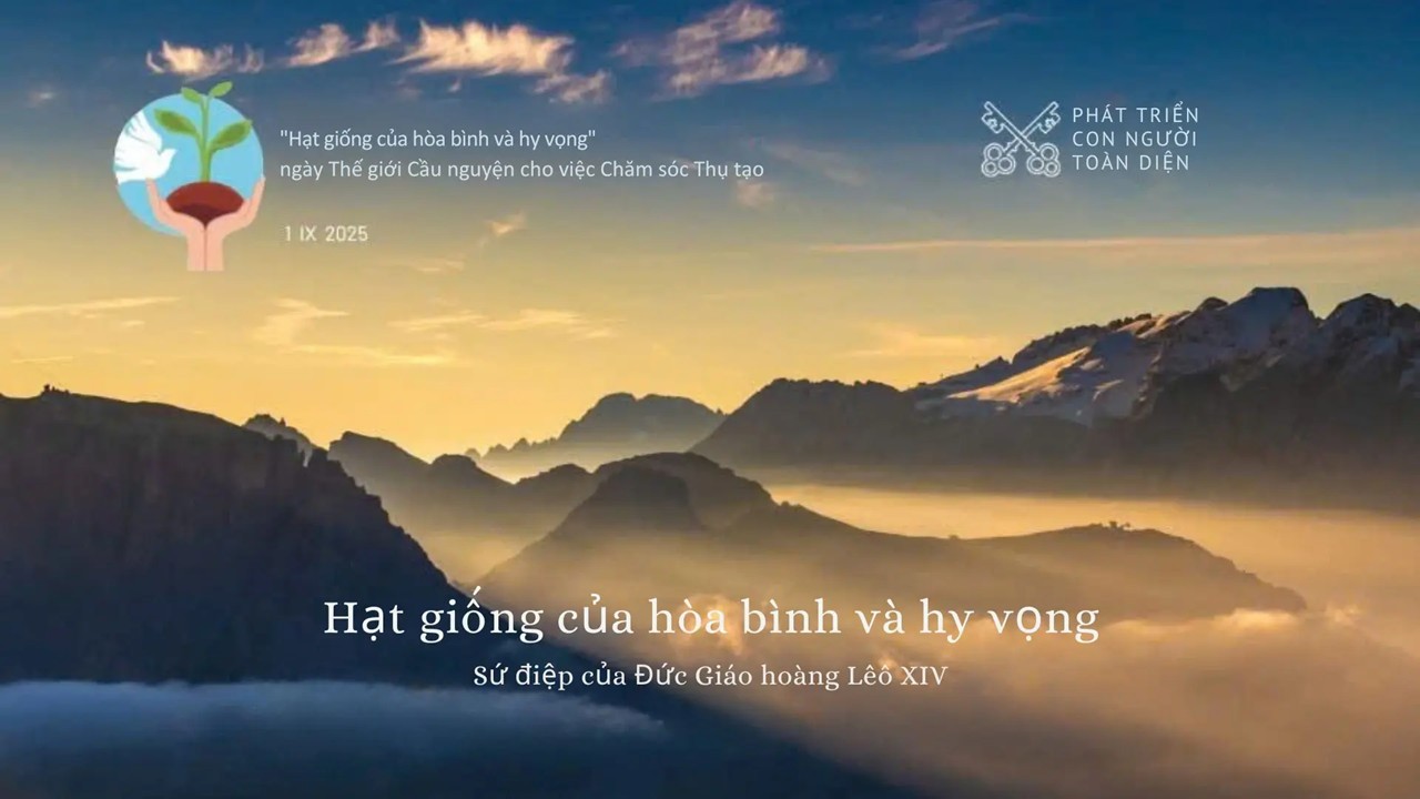 Sứ điệp của Đức Thánh Cha Lêô XIV - Nhân ngày thế giới cầu nguyện cho việc chăm sóc thụ tạo lần thứ 10